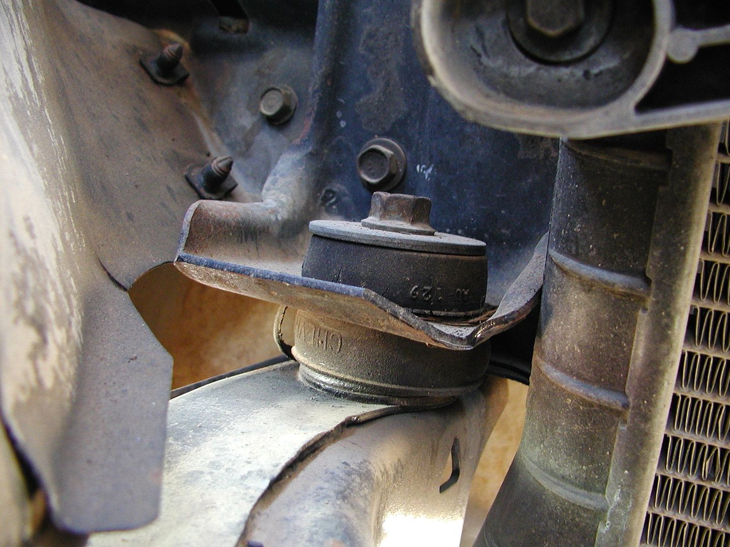 Rad support bushing Chevelle Tech